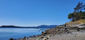 June’s Words of a Feather: the Sue C. Boynton Poetry Contest @ Allied Arts Gallery