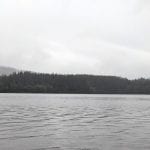 Lake Padden 3