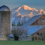 Randy Small Photography