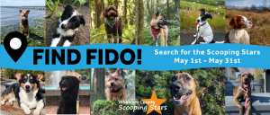 Find Fido! Whatcom County Scavenger Hunt