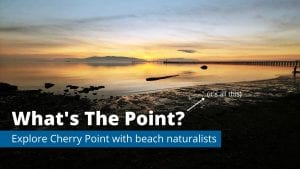 What's the Point? Q&A with Beach Naturalists @ zoom