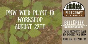 PNW Wild Plant Identification Workshop @ Bell Creek Nature SChool