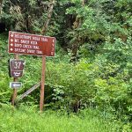 Forest Service Rd 37 sign Mt. Baker-Snoqualmie National Forest