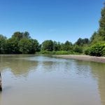 Four-Best-Hidden-Fishing-Spots-in-Whatcom-County-Hovander-Farm