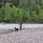 Lindsey Moceri Fly Fishing Northfork Nooksack River