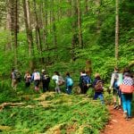 Mountain School at North Cascades Institute