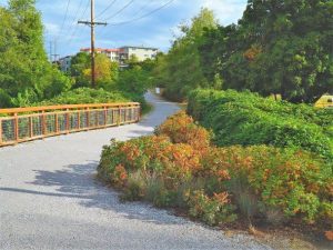 Self-Guided Stormwater Discovery Tour @ 5 areas of Bellingham: Squalicum Creek Park, Bloedel Donovan Park, the Railroad Trail, Fairhaven, and Downtown Bellingham