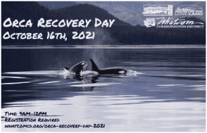 Orca Recovery Day