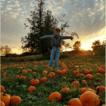 Willetta Farm