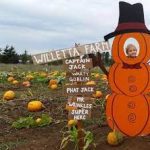 Willetta-Farm- pumpkins