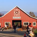 stoney-ridge-farm-barn