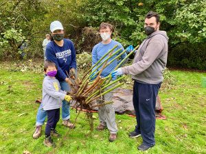 MLK Day of Service Community Work Party @ Squalicum Creek Park