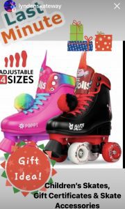 MLK Day Open Skate @ Lynden Skateway