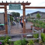 Cordata Community Garden