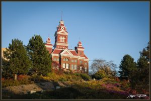 Introductory Native Plant Walk: Maritime Heritage Park @ Maritime Heritage Park