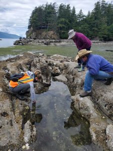 Help beachgoers appreciate and protect beaches—No experience needed @ RE Sources