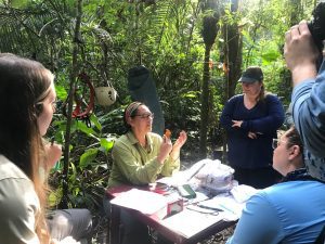 North Cascades Audubon Society Birds of the Amazon: Ecological Research & Conservation @ Whatcom Museum - Old City Hall