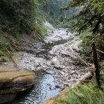 Racehorse Falls 1