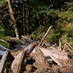 Racehorse Falls 3