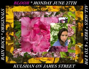 Live Music - Bloom at Kulshan @ Kulshan Brewing Company