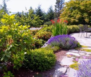 How to Make your Home and Landscape Firewise & Ten Tips for Drought Tolerant Landscaping @ Online via Zoom