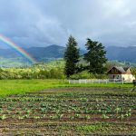 Rainbow-over-Empyrean-Farm-Jeremy-Dehnert-work-Zender-home