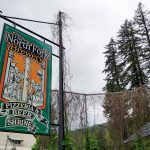 Whatcom-County-Pizza-Round-Up-Nork-Fork-Brewery
