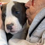 Summit-Place-Assisted-Living-animal-therapy
