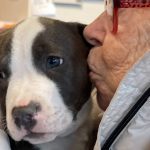 Summit-Place-Assisted-Living-animal-therapy
