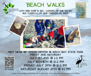 #FamilyFieldDays - Low Tide Naturalist-Led Beach Exploration @ Birch Bay State Park
