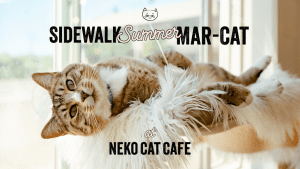 Sidewalk Summer Mar-Cat at NEKO Cat Cafe @ NEKO Cat Cafe: Bellingham
