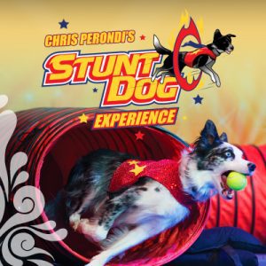 The Perondi’s Stunt Dog Experience @ Mount Baker Theatre