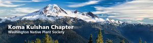 WNPS Field Trip: The Geology and Ferns of Yellow Aster Butte @ Tomyhoi/Yellow Aster Butte Trailhead