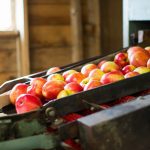 Bellewood-Farms-Apple-Cider-Production-Packing-Line