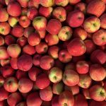 Bellewood-Farms-Apple-Cider-Production-Ripe-and-Ready