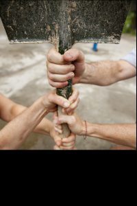 October 15, 2022, is Habitat Community Build Day in Whatcom County @ Telegraph Townhomes