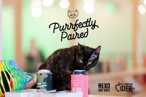 Purrfectly Paired: NEKO x Bellingham Cider Company Tasting @ NEKO Cat Cafe: Bellingham