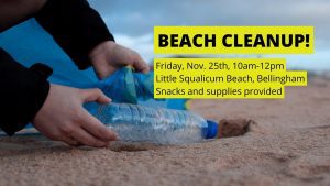Beach cleanup for Black Friday @ Little Squalicum Beach