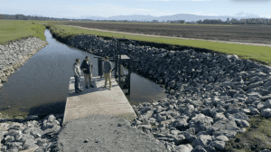 Flood Management on Whatcom County Farmland @ Online via Zoom