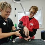 Spay-Neuter-Northwest-Ferndale-exam