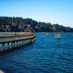 Billy-Frank-Jr-Wildlife-Refuge-Nisqually-Estuary-Boardwalk