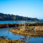 Billy-Frank-Jr-Wildlife-Refuge-River-Estuary