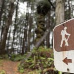 olympic penensula beaches beach 2 trail