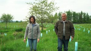 Salmon Habitat Restoration with the Whatcom Conservation District: Voluntary Programs with Benefits for Landowners and the Environment @ Online via Zoom