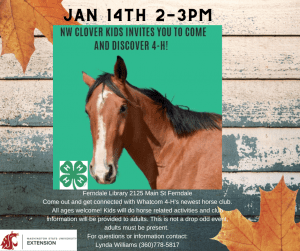 Discover 4-H with NW Clover Kids @ Ferndale Library