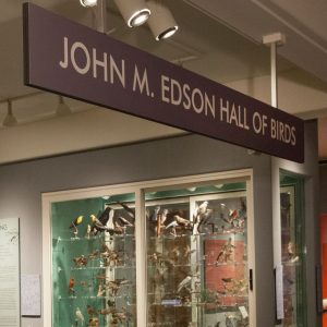 Fourth Sundays: Audubon at the Museum @ Whatcom Museum - Old City Hall
