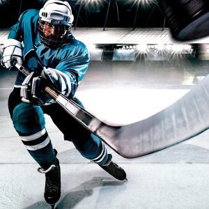 Panel Discussion: Hockey Night in Cascadia - From Canada's Game to a Kraken Future @ WWU Viking Union Multipurpose Room