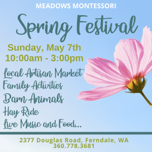 Meadows Montessori Spring Festival @ Meadows Montessori Shool