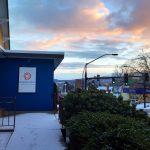 brigid-collins-street feature