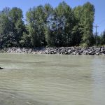 Nugent’s Corner-River-Access-dog